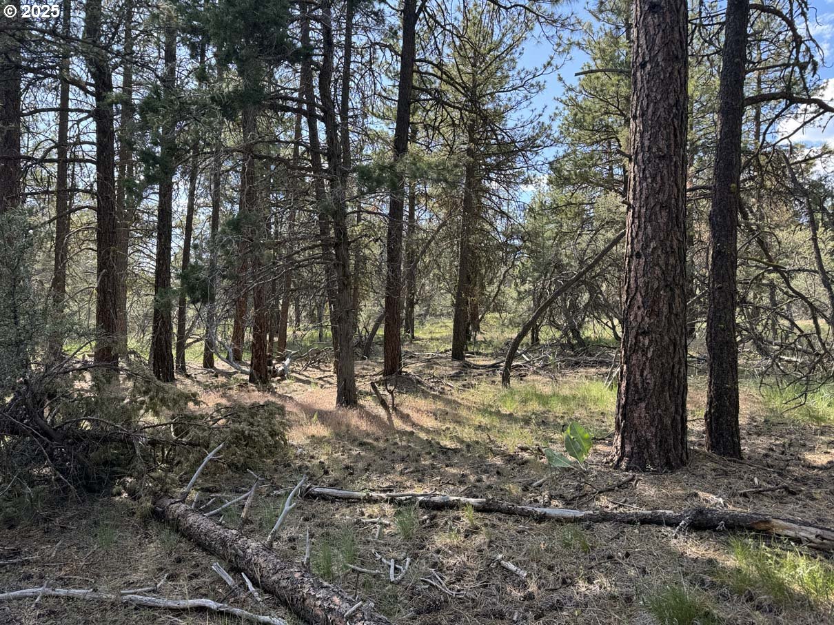 Thunder Bear Road, Unit 46 Bonanza, OR 97623 - Photo 15 of 48 a view of outdoor space with trees