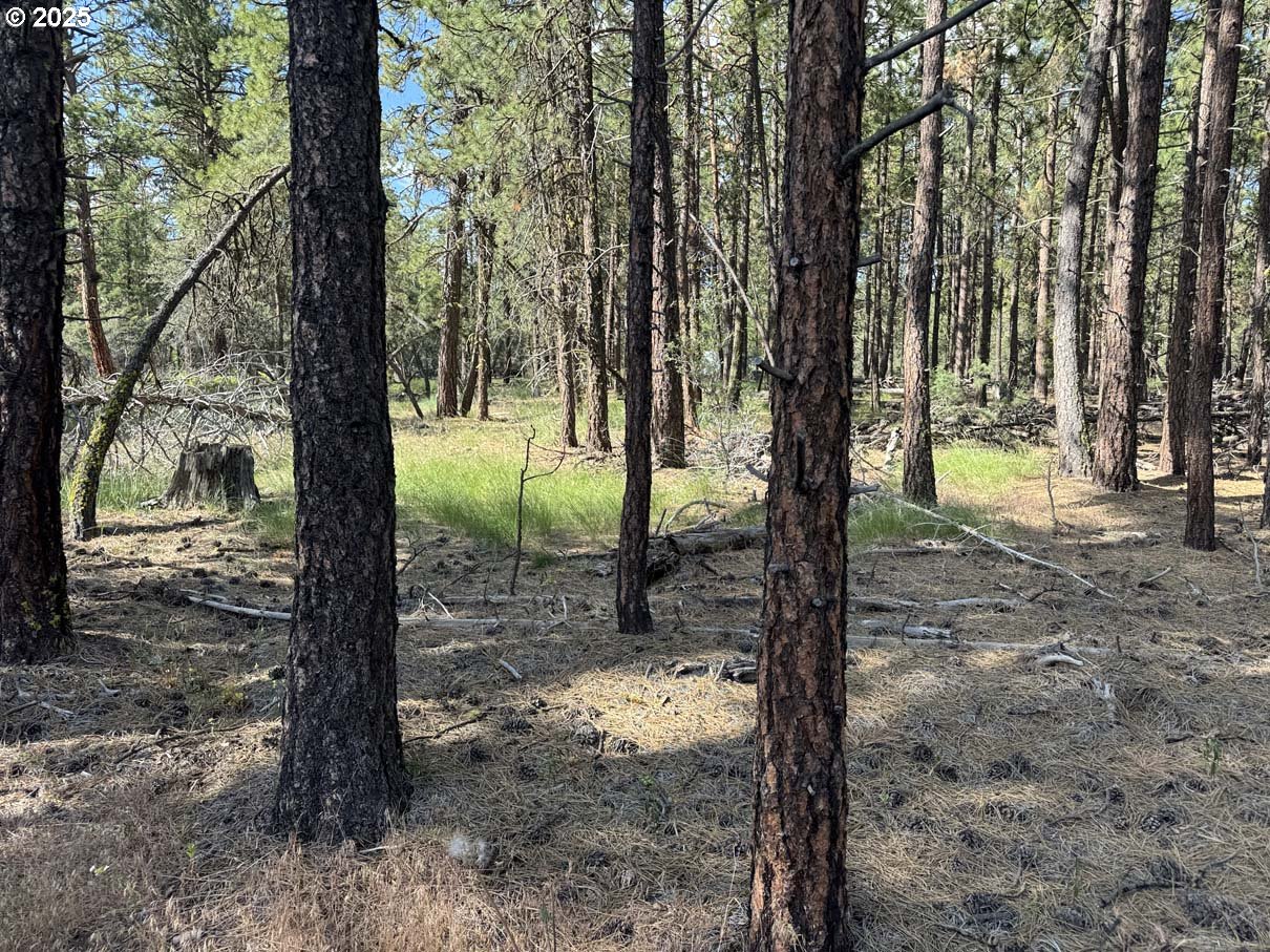 Thunder Bear Road, Unit 46 Bonanza, OR 97623 - Photo 18 of 48 a view of a trees with a yard