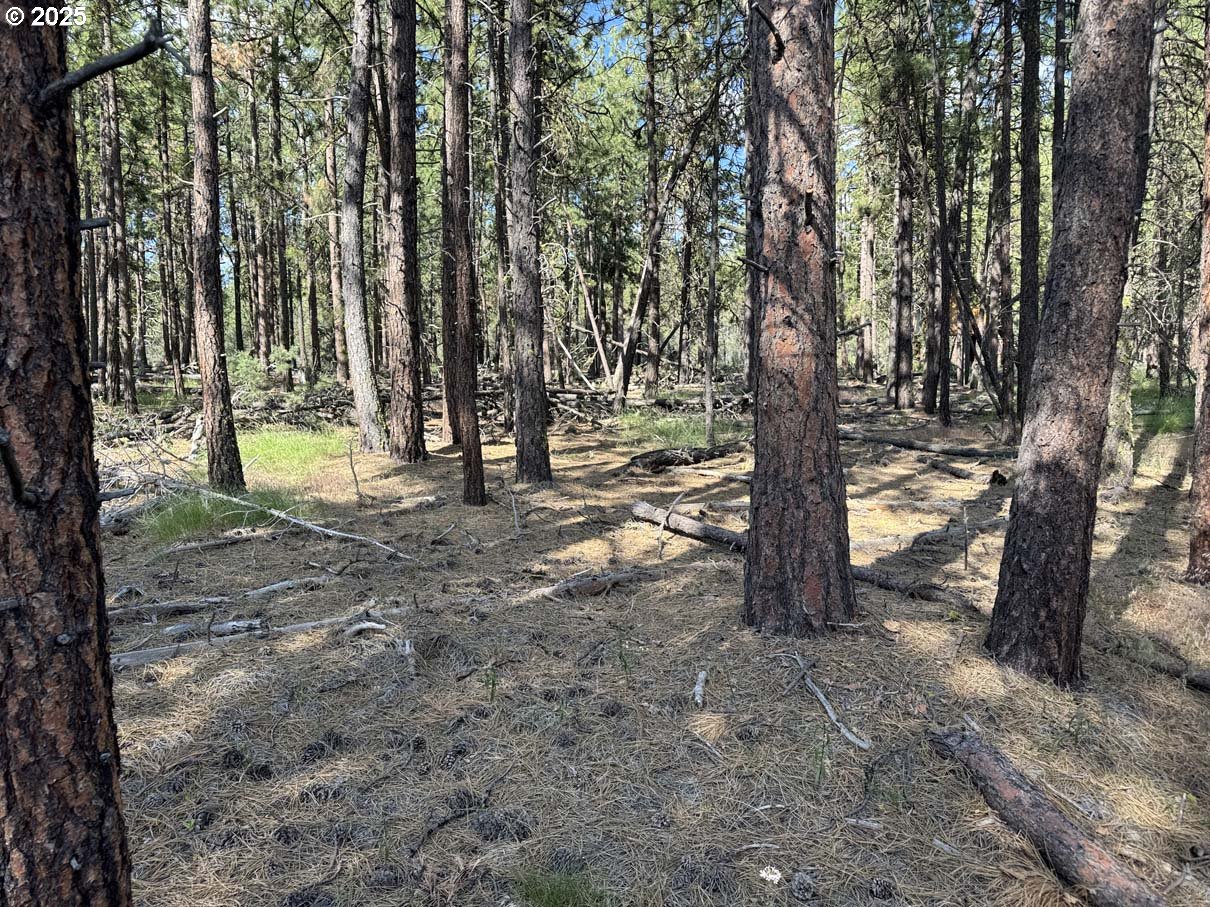Thunder Bear Road, Unit 46 Bonanza, OR 97623 - Photo 19 of 48 a view of outdoor space with deck and trees