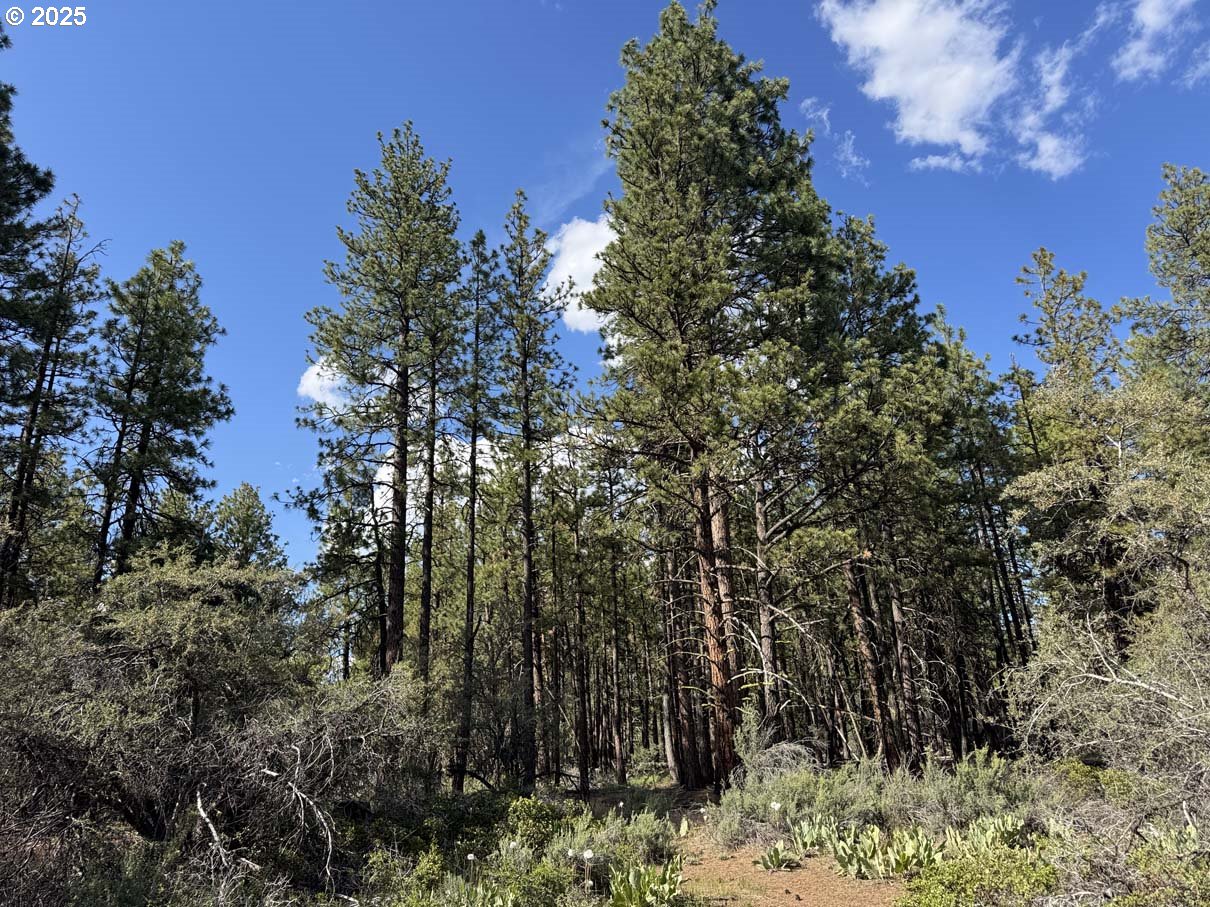 Thunder Bear Road, Unit 46 Bonanza, OR 97623 - Photo 2 of 48 a view of a yard