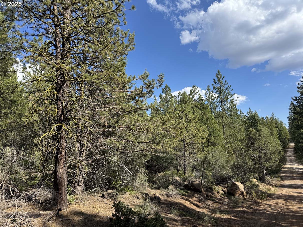 Thunder Bear Road, Unit 46 Bonanza, OR 97623 - Photo 33 of 48 a view of a city