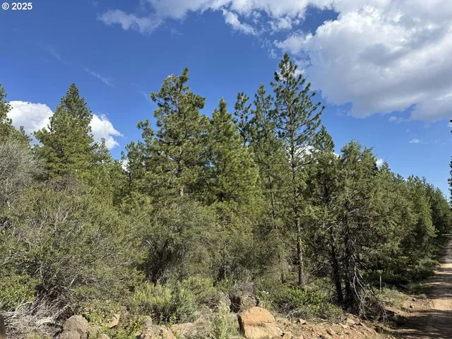a view of a city with lush green forest