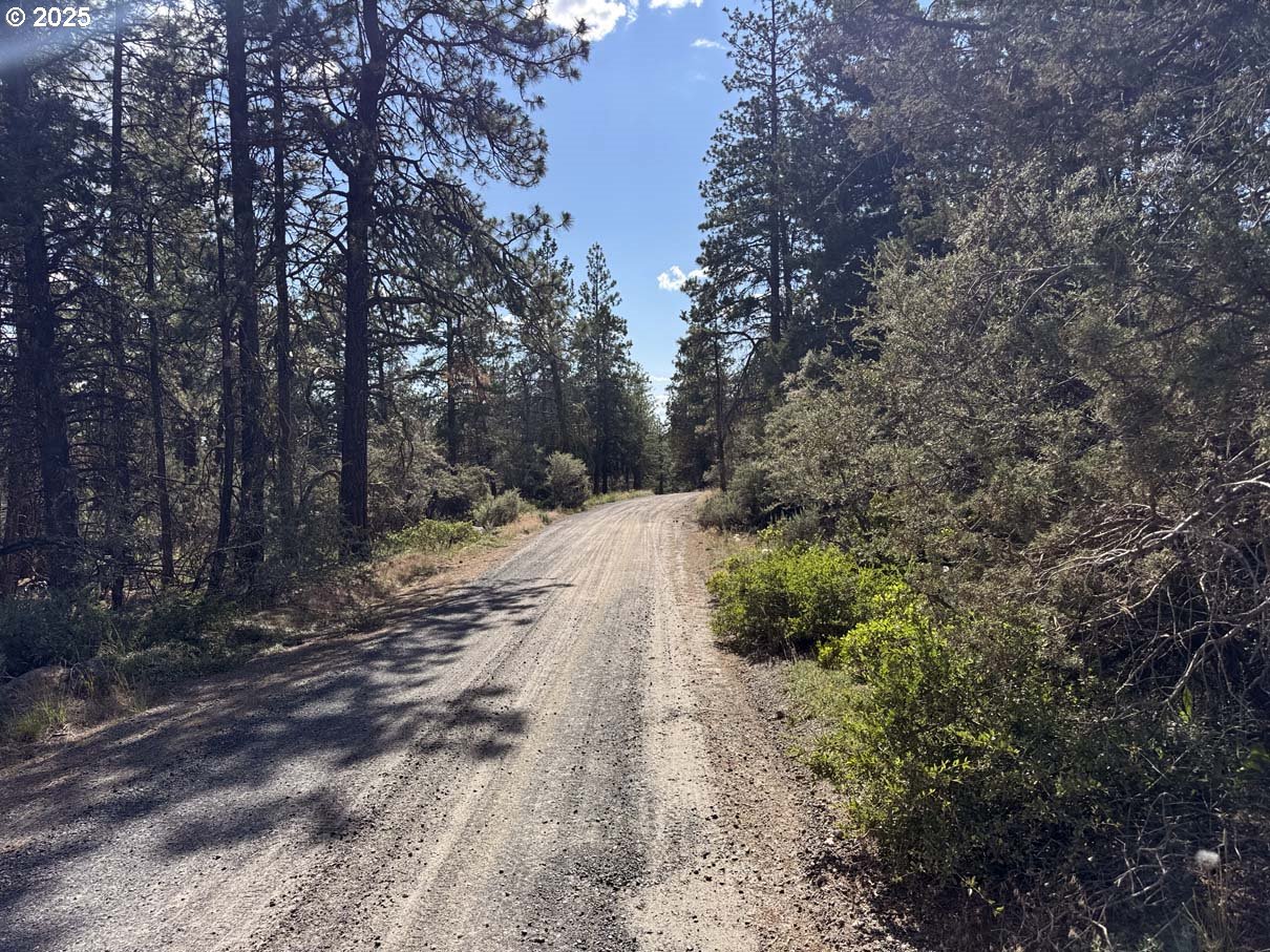 Thunder Bear Road, Unit 46 Bonanza, OR 97623 - Photo 5 of 48 a view of a yard with plants and trees