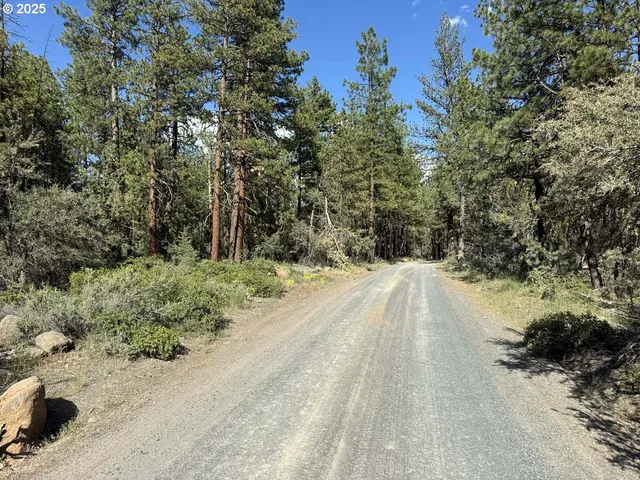 a view of a yard with plants and trees
