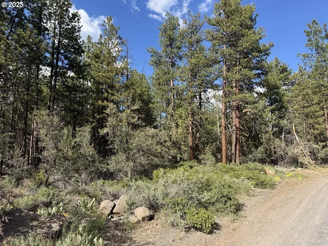 a view of a yard with large trees
