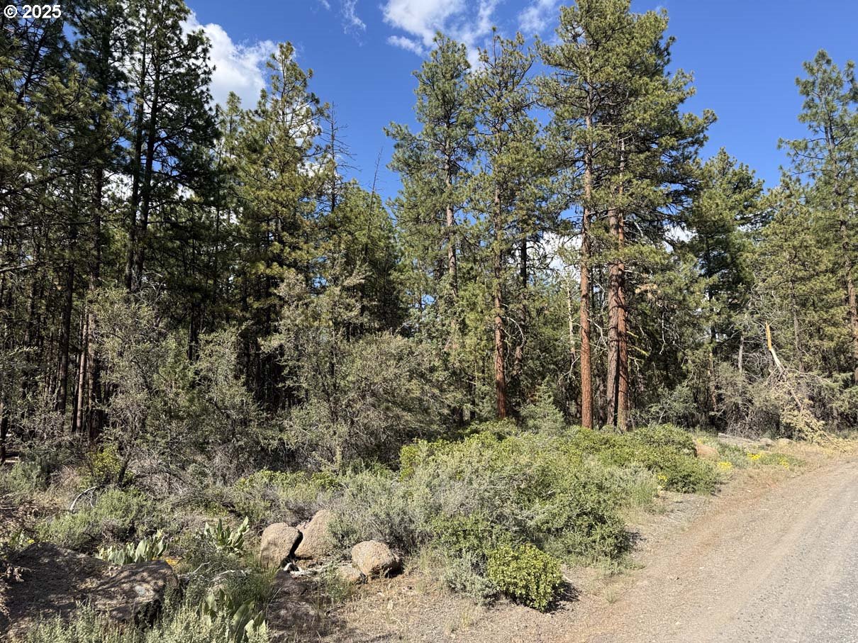 Thunder Bear Road, Unit 46 Bonanza, OR 97623 - Photo 7 of 48 a view of a yard with large trees