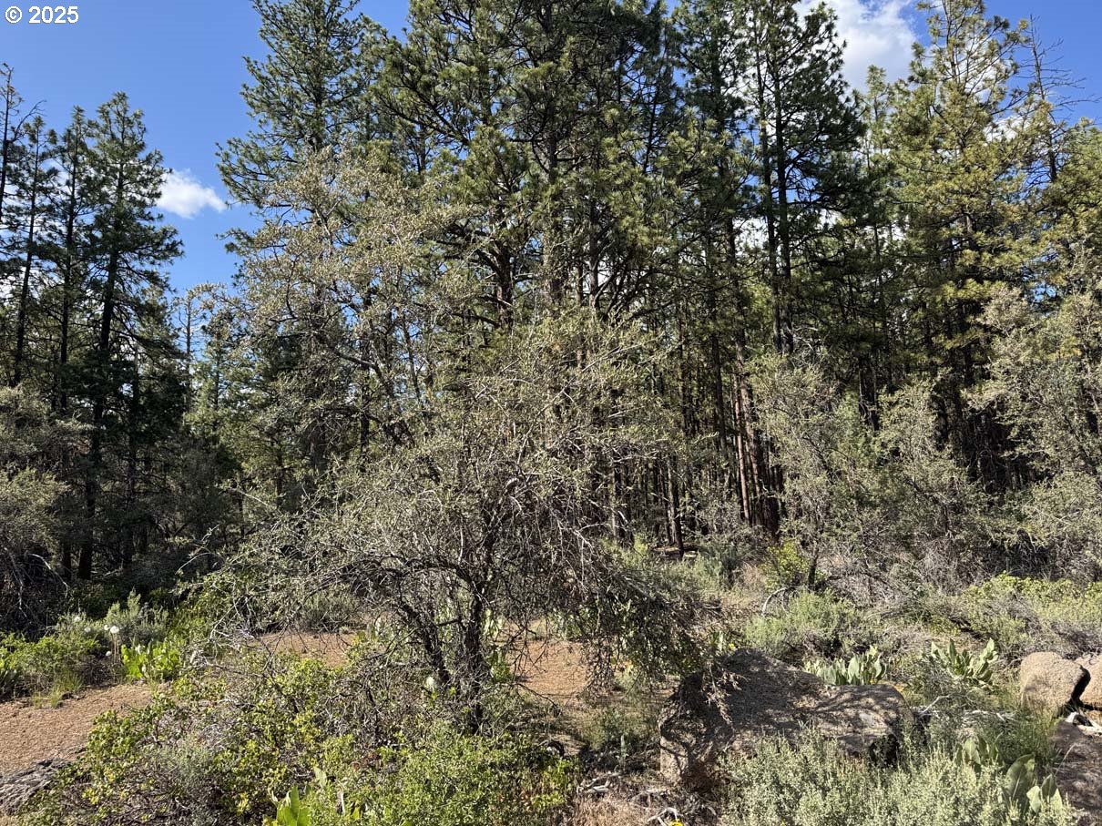 Thunder Bear Road, Unit 46 Bonanza, OR 97623 - Photo 10 of 48