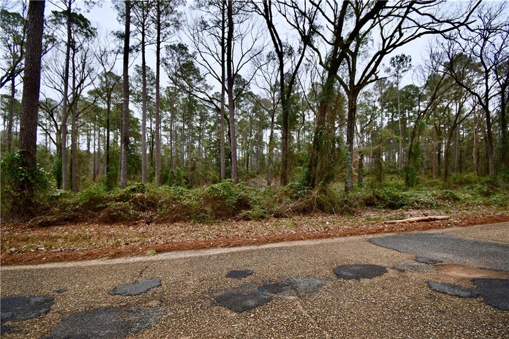 635 Fred Scott Pollock, LA 71467 - Photo 42 of 50