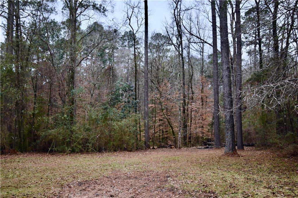 635 Fred Scott Pollock, LA 71467 - Photo 43 of 50