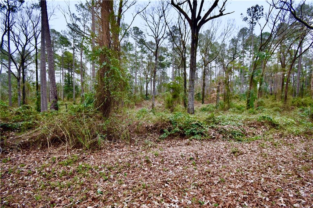 635 Fred Scott Pollock, LA 71467 - Photo 44 of 50