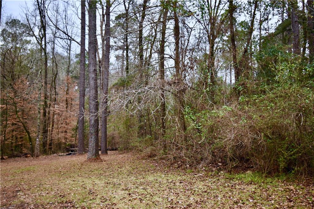 635 Fred Scott Pollock, LA 71467 - Photo 47 of 50