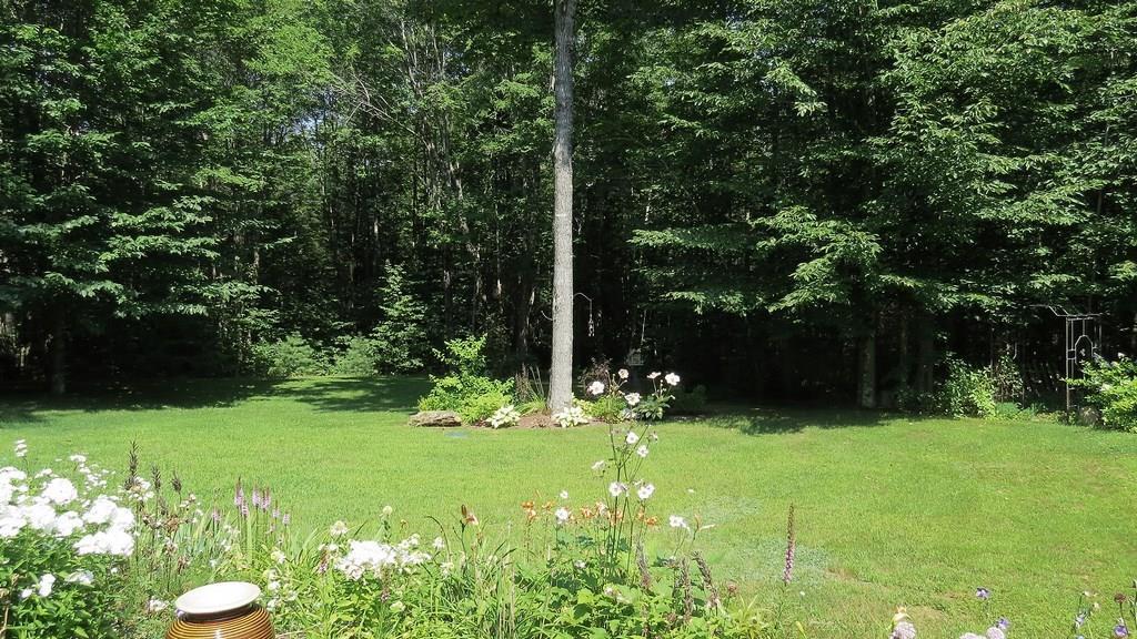 44 Hemlock Way Stetson, ME 04488 - Photo 35 of 35 Photo