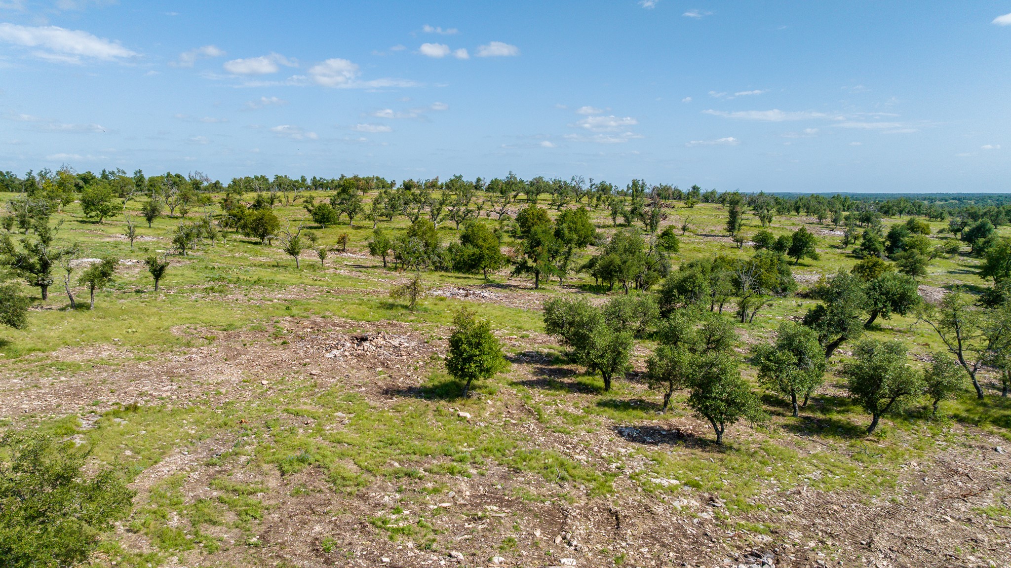 0 Loudon Road Fredericksburg, TX 78624 - Photo 8 of 9 Rolling hills dotted with mature trees stretch across this expansive countryside acreage under blue skies.