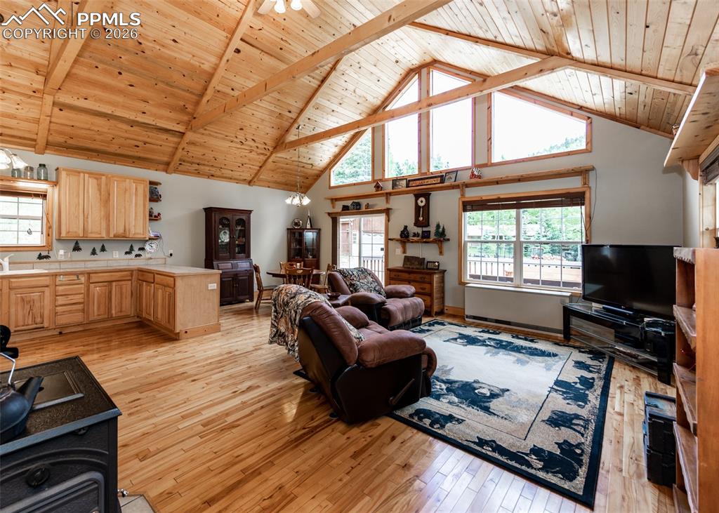 331 Westcliffe Drive Rye, CO 81069 - Photo 15 of 50 a living room with furniture fireplace and flat screen tv