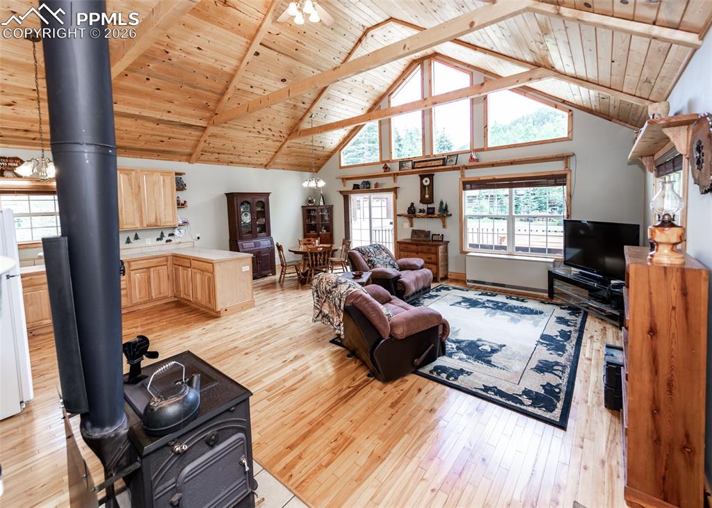 331 Westcliffe Drive Rye, CO 81069 - Photo 20 of 50 a living room with furniture fireplace and flat screen tv