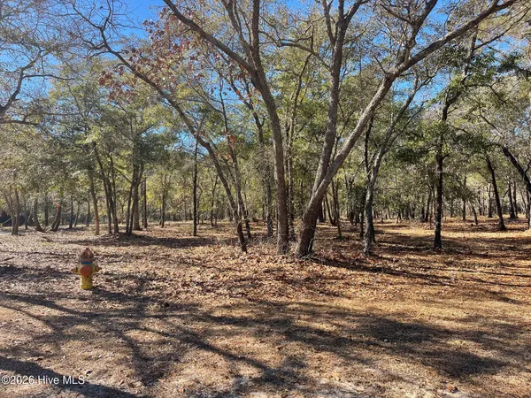 $60,000 | 3627 Concordia Avenue Southwest, Supply, NC 28462