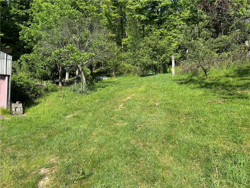 170 Clarks Hollow Rd Spring Vandergrift, PA 15690 - Photo 6 of 12