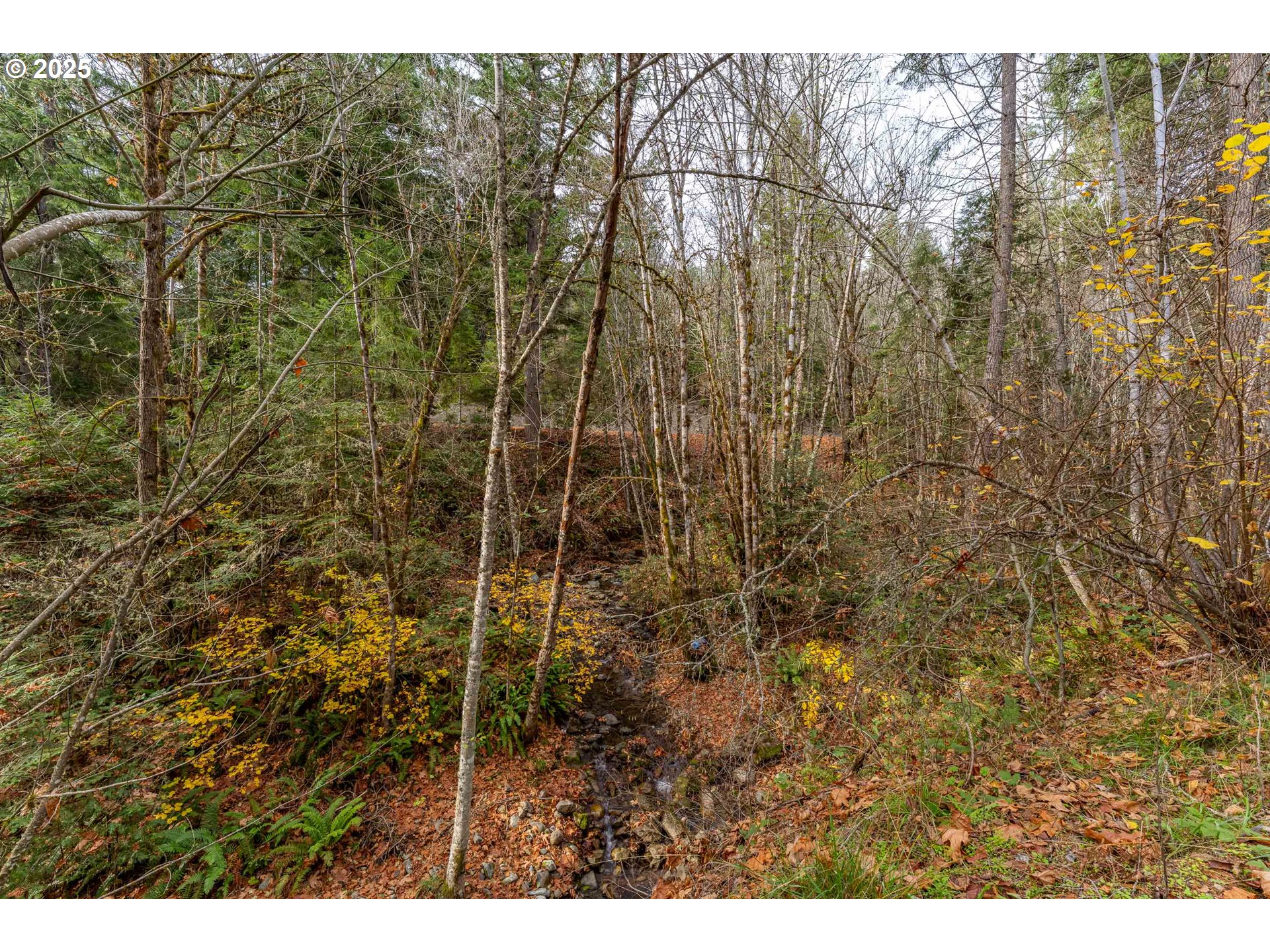 1871 McCullough Creek Road Glendale, OR 97442 - Photo 22 of 48