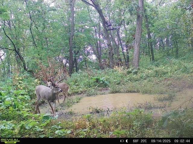 Xx Xx Simons Road Mondovi, WI 54755 - Photo 25 of 45
