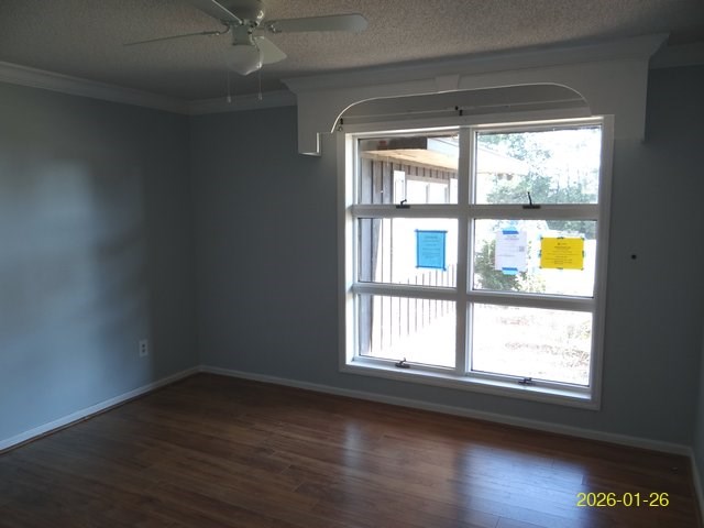 32729 Ga Highway Blakely, GA 39823 - Photo 15 of 24