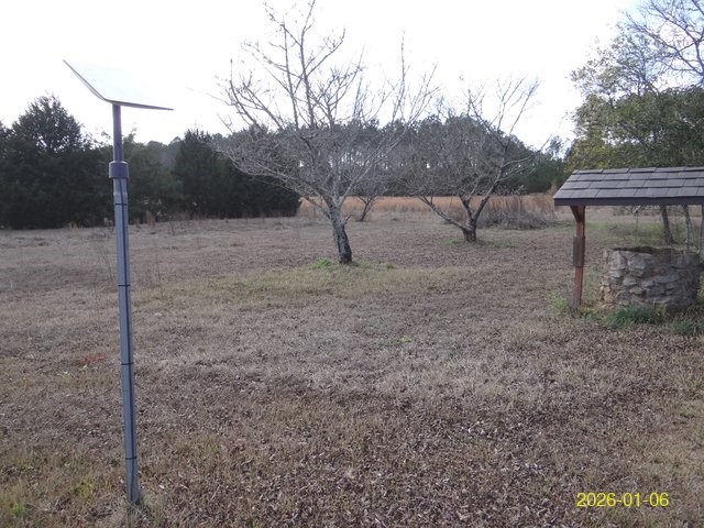 32729 Ga Highway Blakely, GA 39823 - Photo 7 of 24