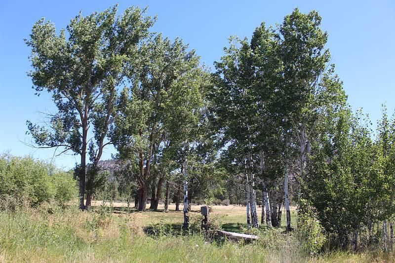 471 Day School Road Chiloquin, OR 97624 - Photo 14 of 29 IMG_1180smaller