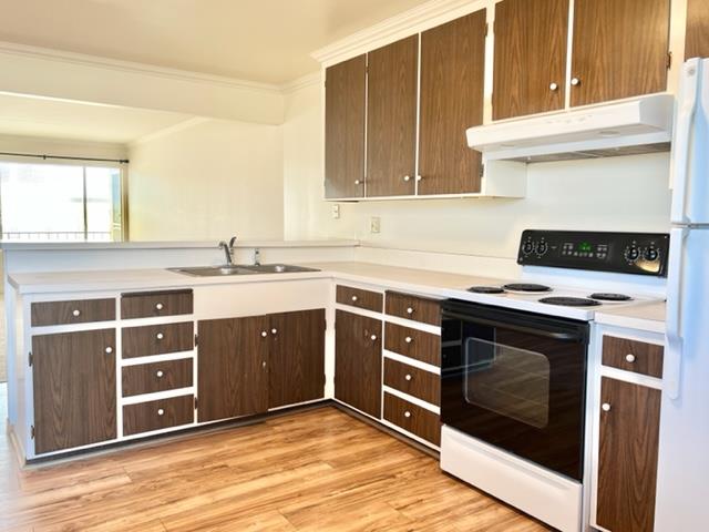 Santa Lucia Avenue San Bruno, CA 94066 - Photo 5 of 14 Gallery Image 5