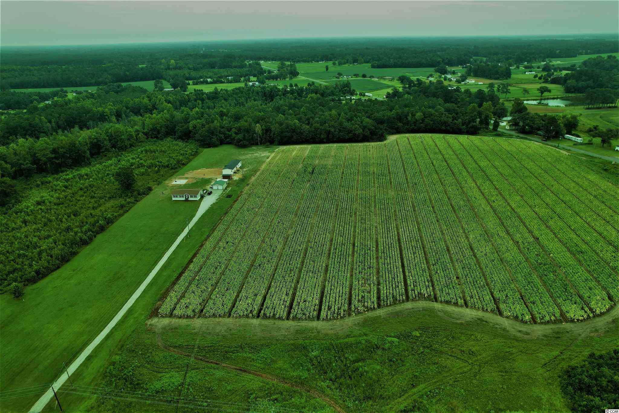 9 Business Loris, SC 29569 - Photo 3 of 4 Gallery Image 3