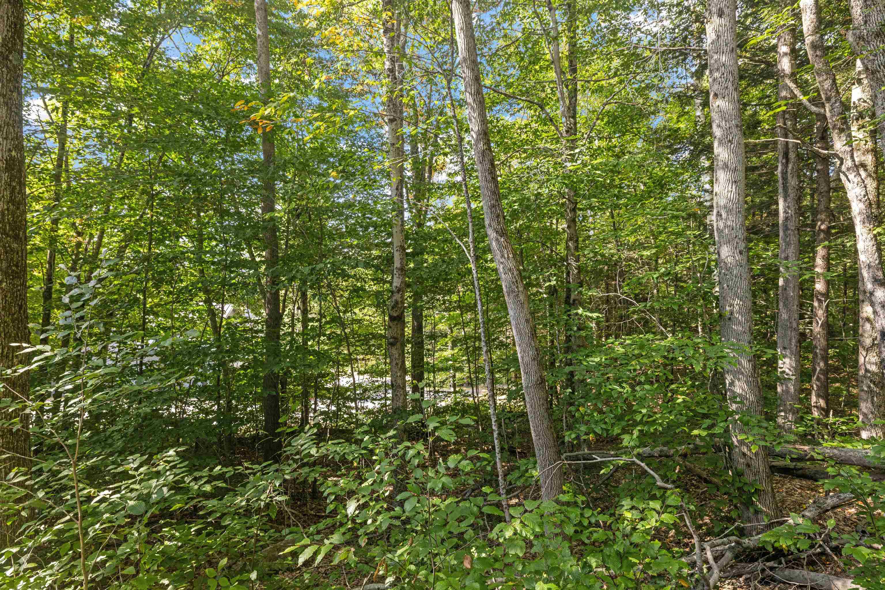 119 Clearbrook Road, Unit 1 Lincoln, NH 03251 - Photo 41 of 46