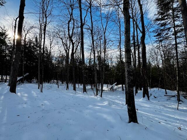 M9-l29 Beckwith Road Cornville, ME 04976 - Photo 13 of 25 IMG_4160