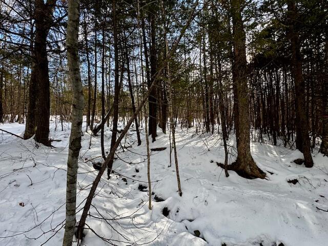 M9-l29 Beckwith Road Cornville, ME 04976 - Photo 14 of 21 IMG_4163