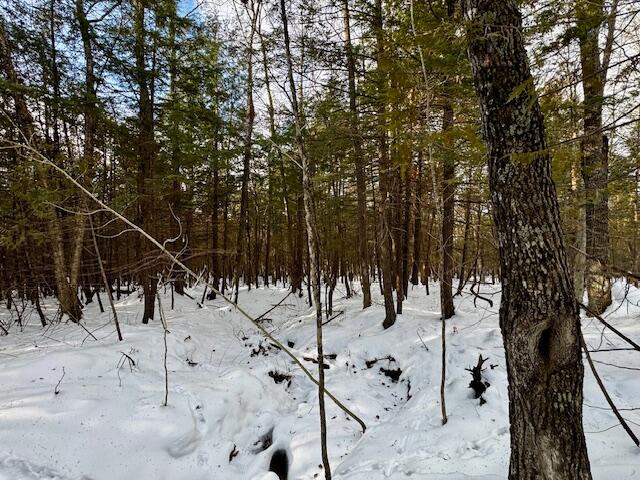 M9-l29 Beckwith Road Cornville, ME 04976 - Photo 15 of 25 IMG_4162