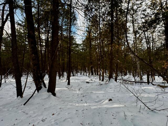 M9-l29 Beckwith Road Cornville, ME 04976 - Photo 15 of 21 IMG_4164