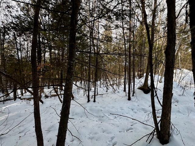 M9-l29 Beckwith Road Cornville, ME 04976 - Photo 16 of 21 IMG_4165