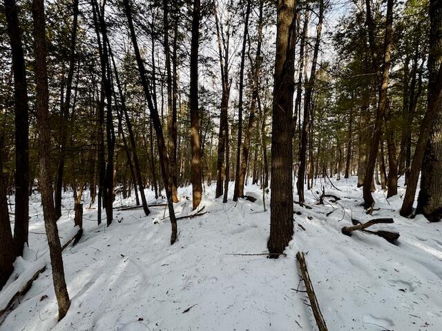 M9-l29 Beckwith Road Cornville, ME 04976 - Photo 17 of 21 IMG_4166