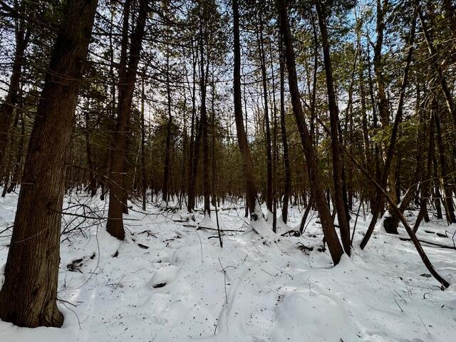 M9-l29 Beckwith Road Cornville, ME 04976 - Photo 20 of 25 IMG_4167