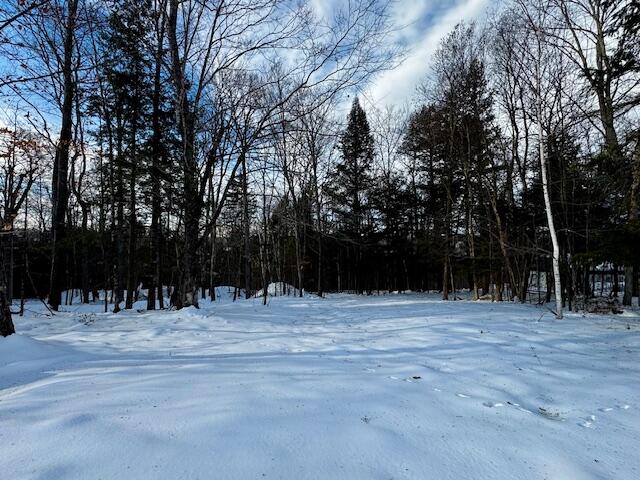 M9-l29 Beckwith Road Cornville, ME 04976 - Photo 10 of 21 IMG_4159