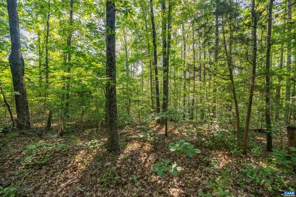 $99,900 | Lot 1 Stag Road, Bremo Bluff, VA 23022