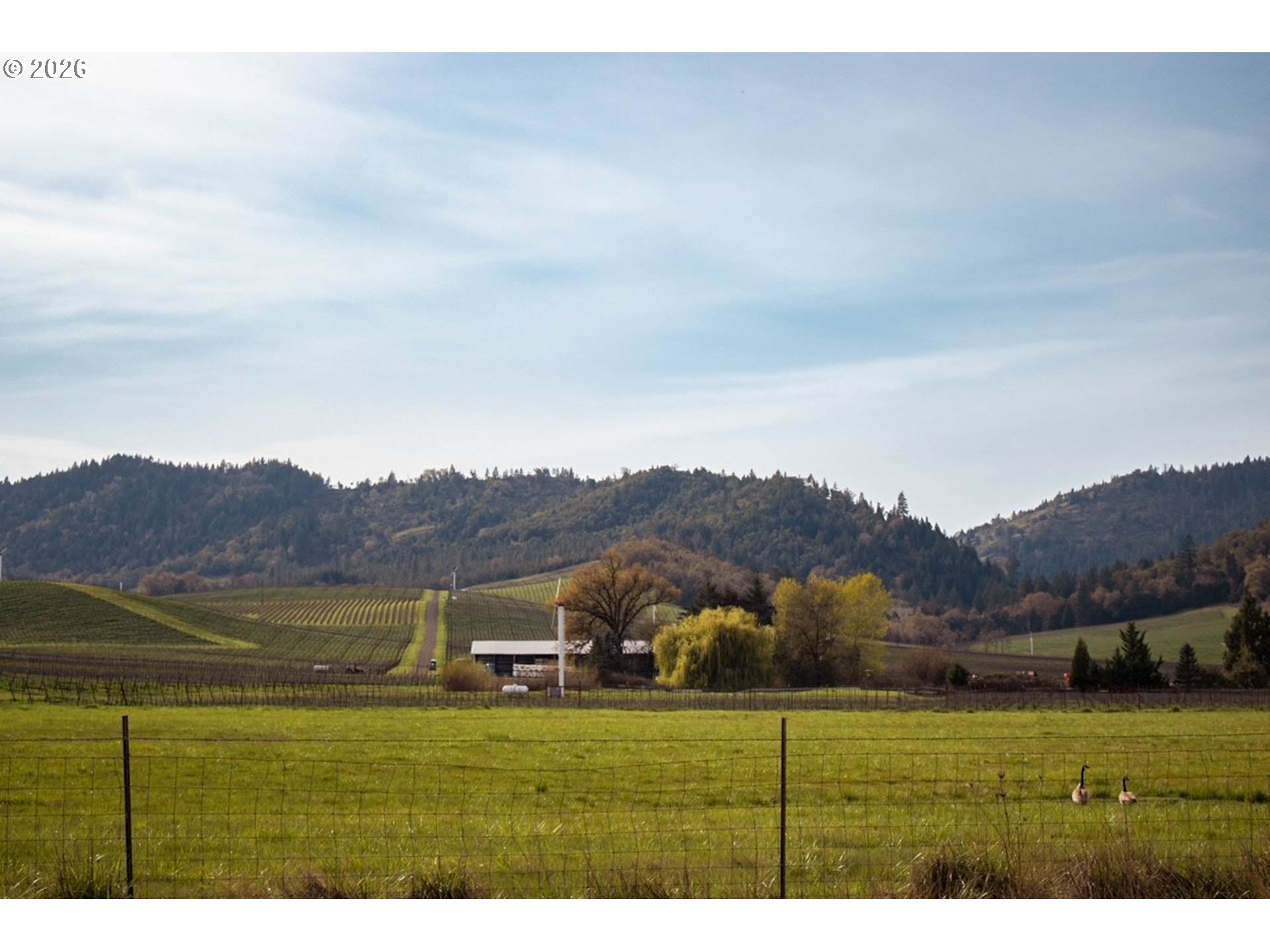 0 Northwest Brockway Road Winston, OR 97496 - Photo 2 of 11 Gallery Image 2