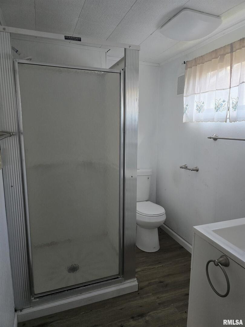 306 8th Avenue South Albany, IL 61230 - Photo 7 of 10 a bathroom with a toilet and a shower