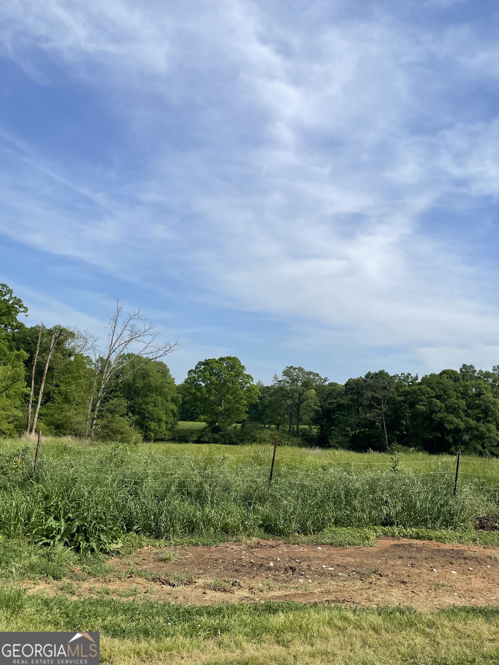 1458-1463 Parham Town Road Bowman, GA 30624 - Photo 7 of 23