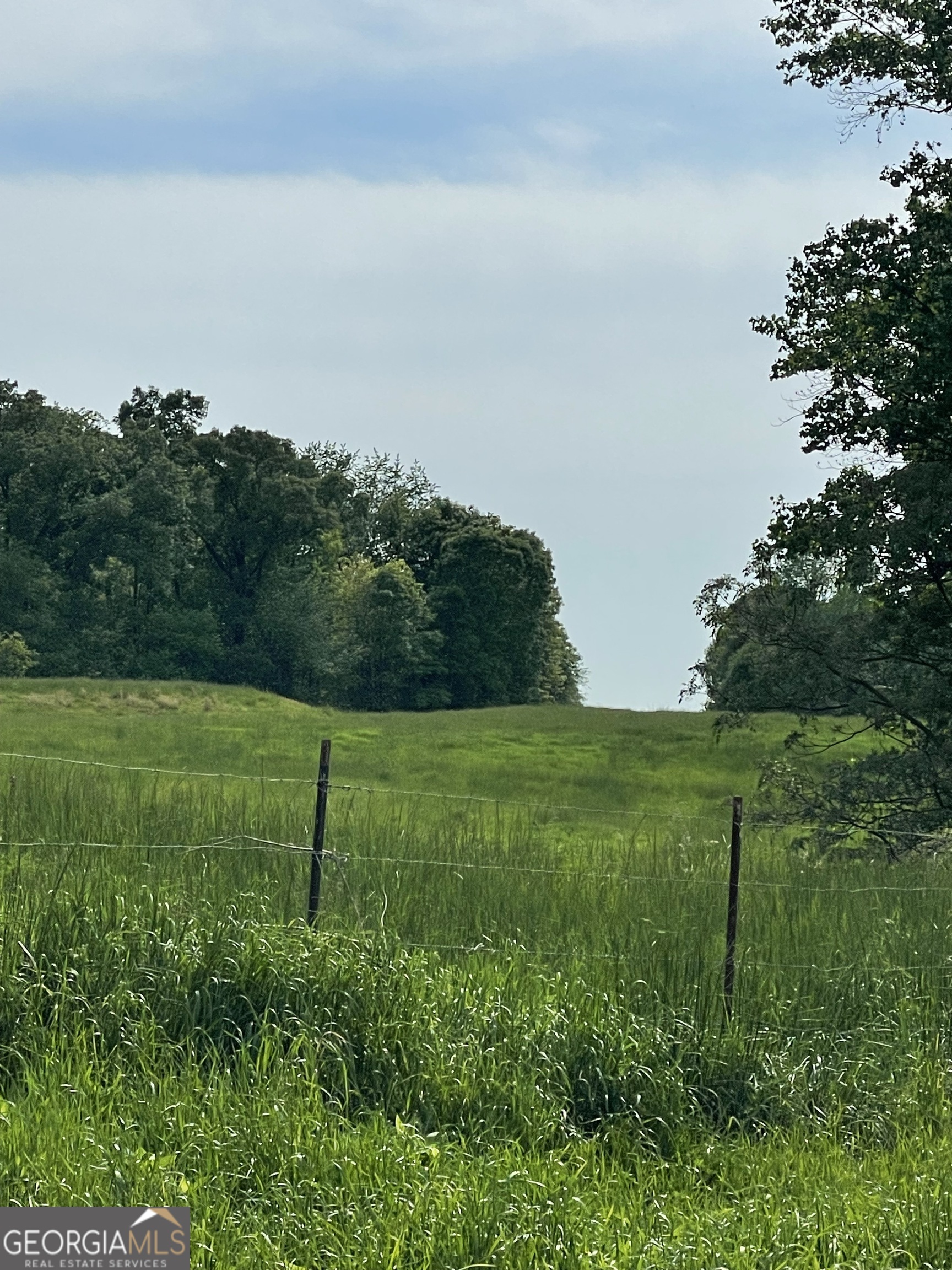 1458-1463 Parham Town Road Bowman, GA 30624 - Photo 10 of 23