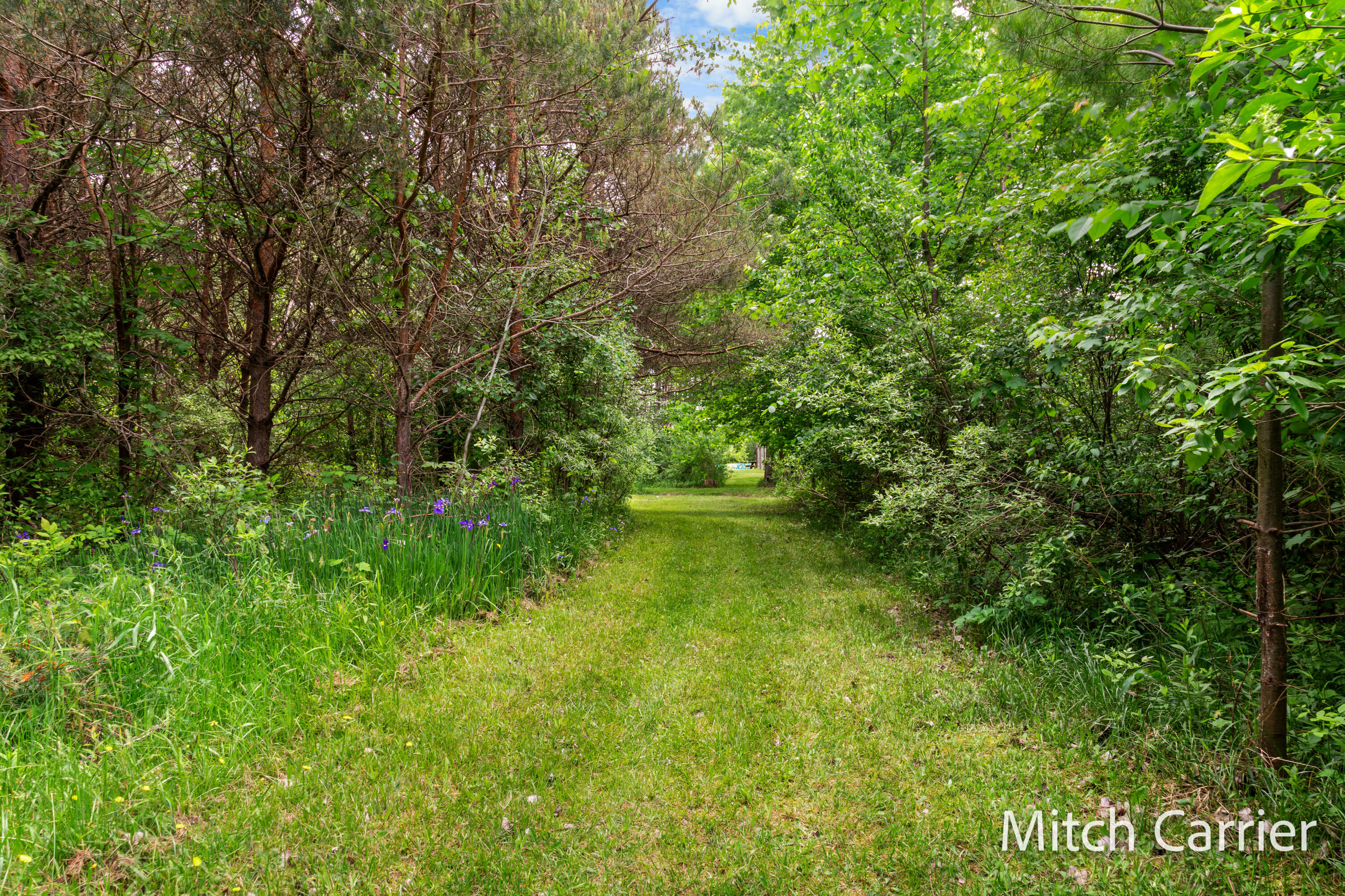 7623 20 Mile Road Northeast Sand Lake, MI 49343 - Photo 33 of 41 _H6A4320