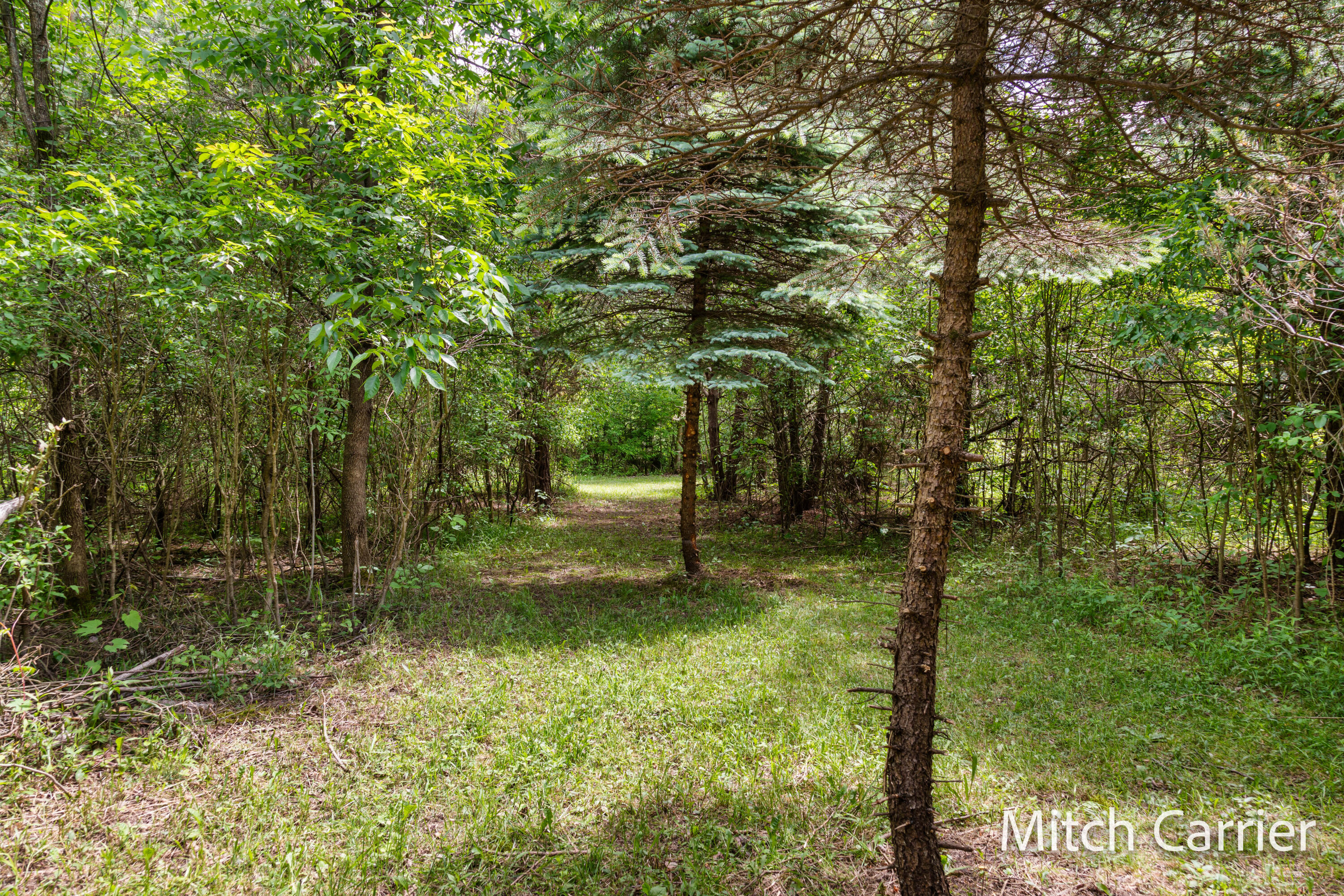 7623 20 Mile Road Northeast Sand Lake, MI 49343 - Photo 34 of 41 _H6A4324