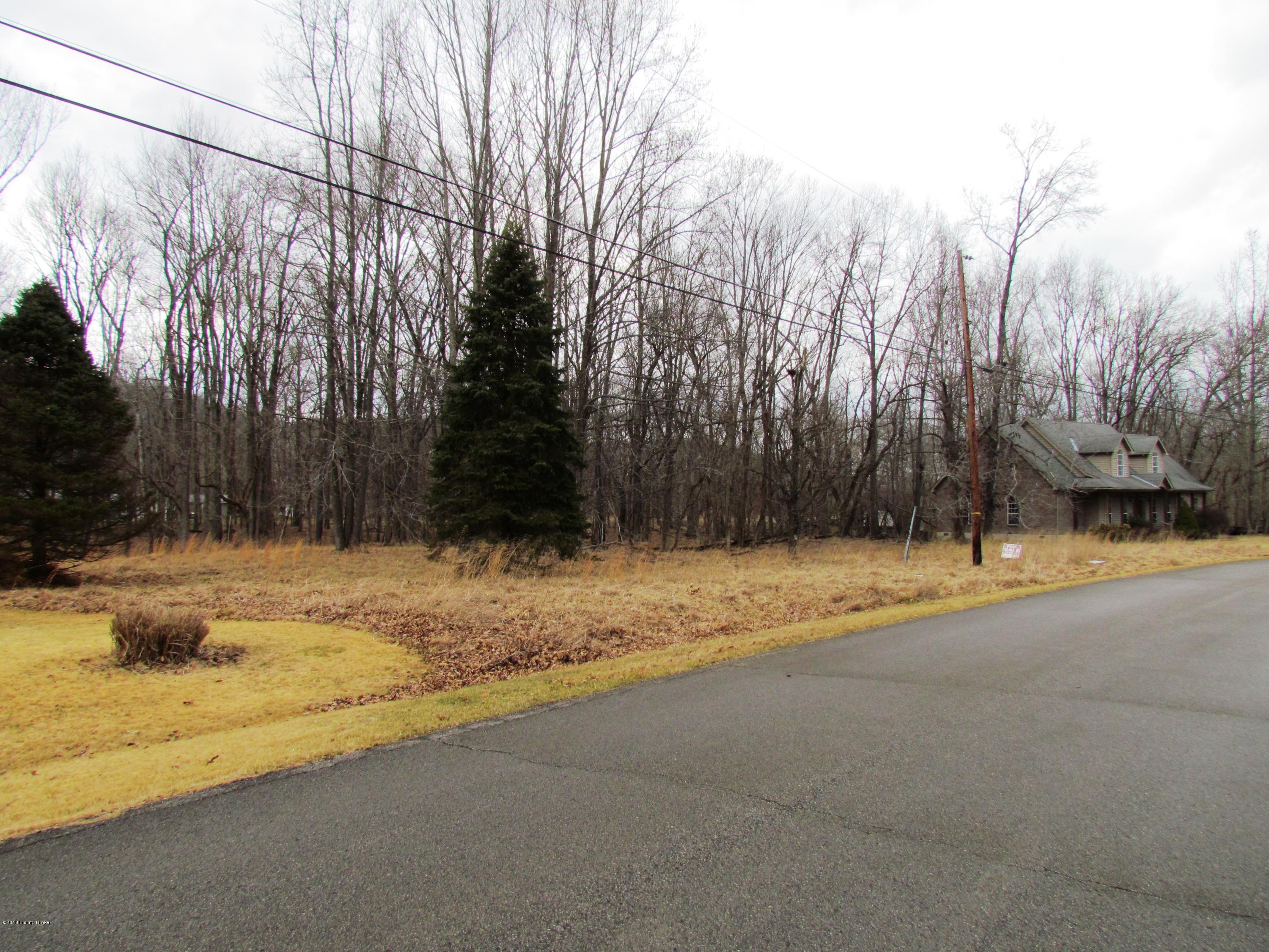 0 Inverness Road Owenton, KY 40359 - Photo 5 of 10 008