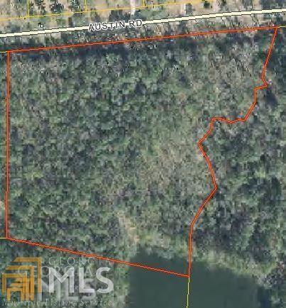0 Austin Road, Unit 5 Newnan, GA 30263 - Photo 1 of 1 a view of a forest with a lake view