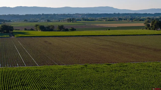 a view of lake and mountain