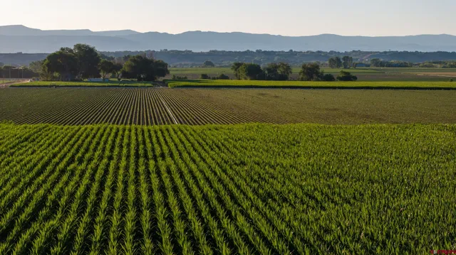 a view of a lake with houses in the background