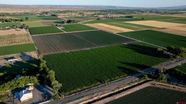 a view of a lake with a yard and a wooden bridge