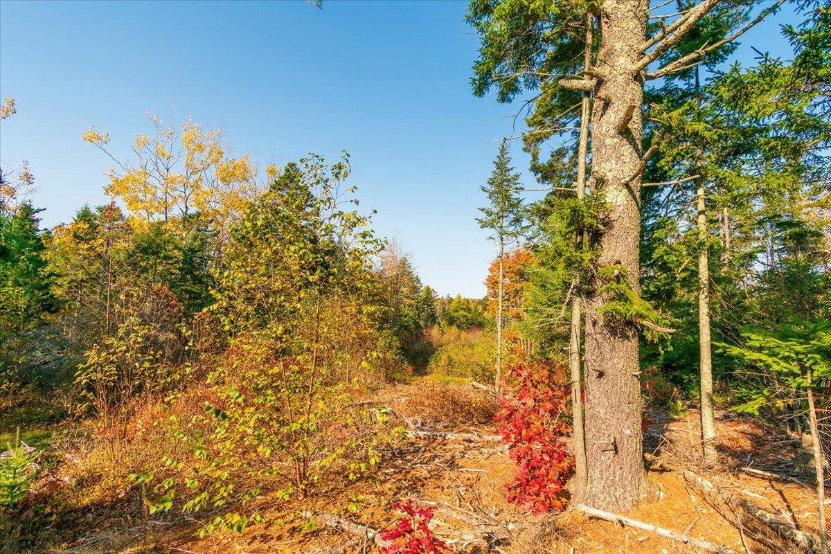 Lot 3 Cushing Road Cushing, ME 04563 - Photo 5 of 20 48-178 Cushing-48